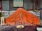 Stock photo of ancient lord Mhasoba copper face mural installed on orange color painted stone, devotees offering food to god