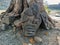 Stock photo of Ancient ruined archeological sculpture depicting Indian god or snake idol carved on granite stone kept near the