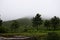 Stock photo of beautiful agricultural land surrounded by mountains cover by greenery , picture captured during foggy morning in