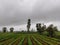 Stock photo of beautiful cultivated agricultural filed surrounded by green trees, dark clouds on background. Picture captured at