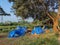 Stock photo of blue color plastic handmade temporary housing structure or shelter or tent for homeless people surrounded by green