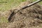 stock photo cleaning up the grass with a rake aerating and scarifying the lawn in the garden 10