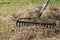 stock photo cleaning up the grass with a rake aerating and scarifying the lawn in the garden 3