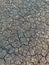 Stock photo of dry and cracked soil surface of ground,Picture captured during drought in the Indian rural area. lack of rainfall,