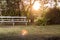 Stock photo of Empty bank in a garden during a sunset with an amazing light