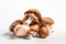 stock photo of fresh Mushrooms on a pristine white background