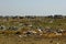 Stock photo of garbage collection bags and other plastic objects and trash on waste disposal site