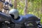 Stock Photo - helmet and glasses on the seat of a motorcycle