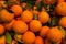 Stock photo of a lot of Valencian oranges