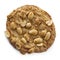 Stock Photo of One Peanut Cookie