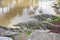 Stock Photo: Statue crocodile in front of crocodile ponds