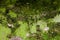 Stock photo texture background of cement covered with moss