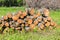 Stock pile of timber, chopped down trees at the forest in summer