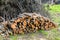 Stock pile of timber, chopped down trees at the forest in summer