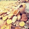 Stock of stacked stones and concrete blocks. Pile of material