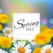 Stock vector illustration Spring sale. Realistic dandelion, taraxacum, blurred defocused background. Macro chamomile bokeh.