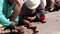 Stock Video Footage Slum Thai poor black women looking for shells