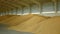 Stock or warehouse pile wheat store, barley and other cereals and grain heap and mound, very modern with moisture