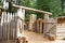 Stockade fence of Fort Clatsop