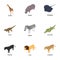 Stockbreeding icons set, isometric style