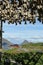 Stockfish in Ballstad, Lofoten, Norway