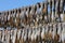 Stockfish drying on a wooden framework under a blue arctic sky