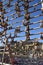 Stockfish hanging on wooden rack