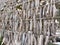 Stockfish on rack in Svolvaer, Lofoten, Norway