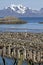 Stockfish racks in Lofoten