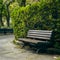 StockImage Park bench offers a tranquil spot next to a lush hedge