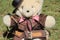 Stockman Teddy