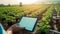 stockphoto, automated irrigation system using iot, showing tablet with reduced water use. Innovative technology