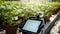 stockphoto, automated irrigation system using iot, showing tablet with reduced water use. Innovative technology