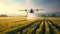 stockphoto, big agriculture drone spraying pesticides on a mais field. Innovative technology used for smart farming.