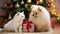 stockphoto, copy space, Cute dog and cat together near christmas tree and gifts. Beautiful background for Christmas card