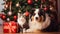 stockphoto, copy space, Cute dog and cat together near christmas tree and gifts. Beautiful background for Christmas card
