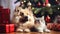 stockphoto, copy space, Cute dog and cat together near christmas tree and gifts. Beautiful background for Christmas card