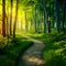 StockPhoto Footpath meandering through lush forest, dappled with golden light