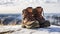 stockphoto, Hiker\\\'s Boots in the snow. Empty used hiking boots standing on the soil in a snowy landscape