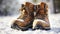stockphoto, Hiker\\\'s Boots in the snow. Empty used hiking boots standing on the soil in a snowy landscape
