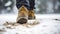 stockphoto, Hiker\\\'s Boots in the snow. used hiking boots standing on the soil in a snowy landscape.