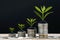 StockPhoto Investment concept, coins stack with green seedling on black