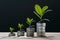 StockPhoto Investment concept, coins stack with green seedling on black