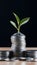 StockPhoto Investment concept, coins stack with green seedling on black