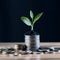 StockPhoto Investment concept, coins stack with green seedling on black