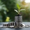 StockPhoto Investment concept, coins stack with green seedling on black