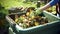 stockphoto, Person composting food waste in backyard compost bin garden. Person putting green waste into a compost bin