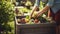 stockphoto, Person composting food waste in backyard compost bin garden. Person putting green waste into a compost bin.