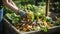 stockphoto, Person composting food waste in backyard compost bin garden. Person putting green waste into a compost bin