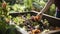 stockphoto, Person composting food waste in backyard compost bin garden. Person putting green waste into a compost bin